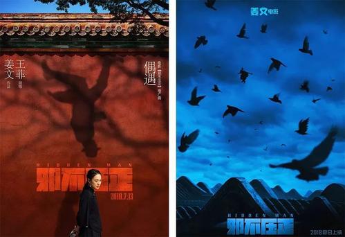 学历证书编号指的是学号吗